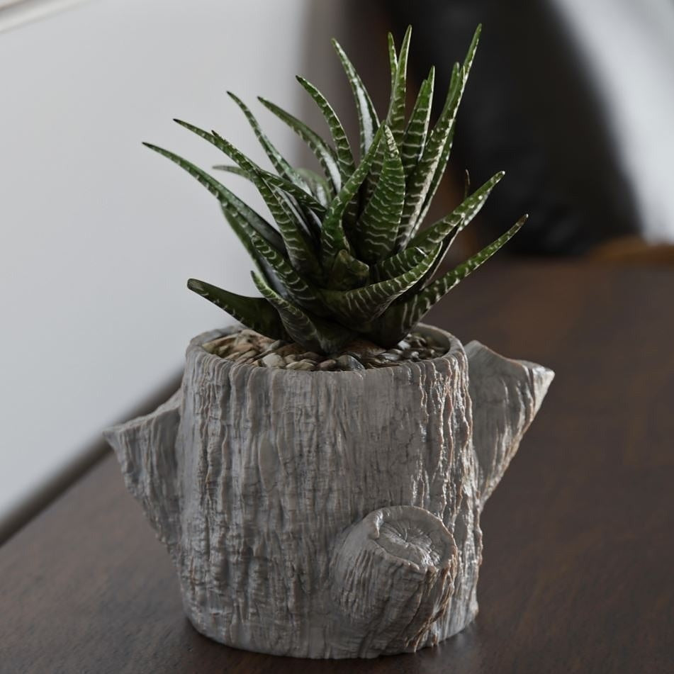 Ghiveci Rustic